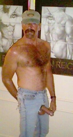 Featured bear