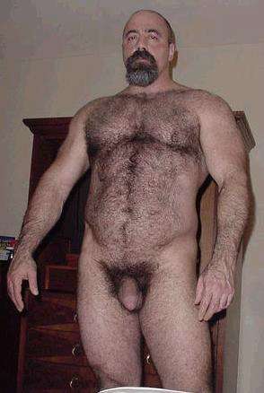 Featured bear