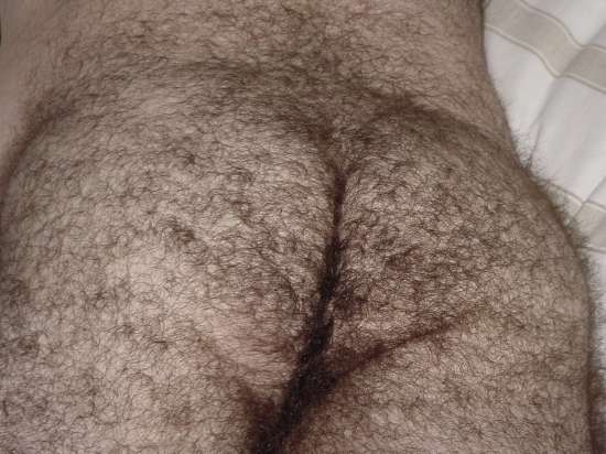 Featured bear