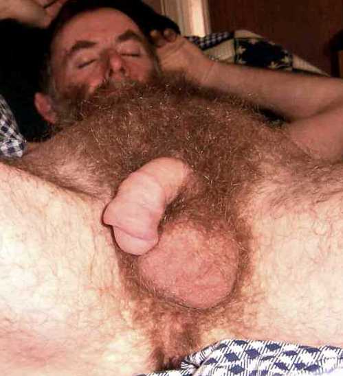 Featured bear